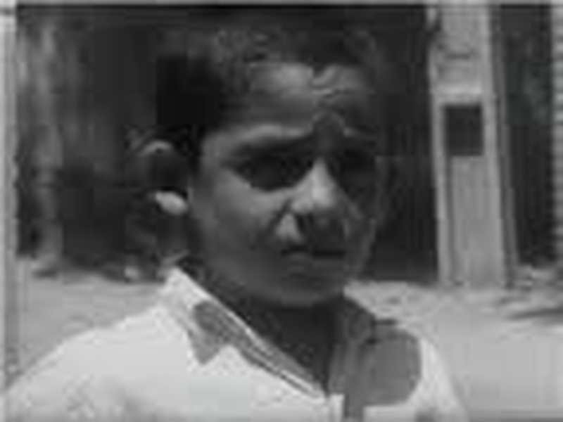 Foto 2 de O Pão e o Beco