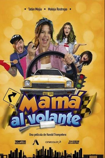 Poster de Filme Mamãe ao Volante (2019)