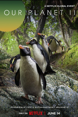 Nosso Planeta (2ª Temporada) (Our Planet (Season 2))
