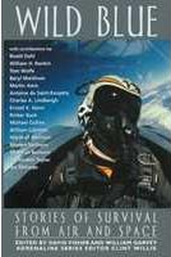 Poster de Filme Wild Blue (2000)