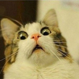 Foto de perfil de Alexandre Vessoni