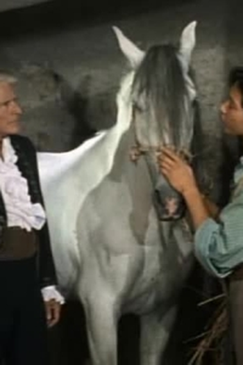 Poster de Episódio The Sure Thing (1990)