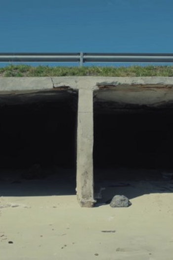 Poster de Episódio A Testemunha (2020)