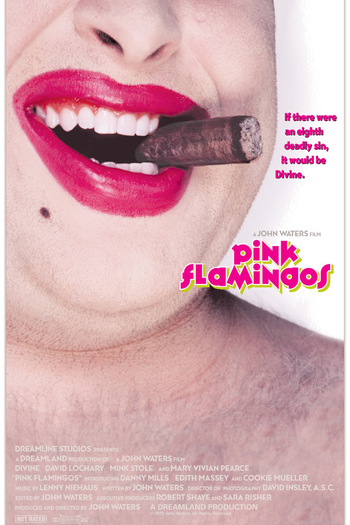  de Filme Pink Flamingos (1972)