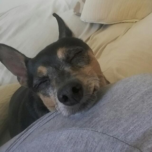 Foto de perfil de Maise