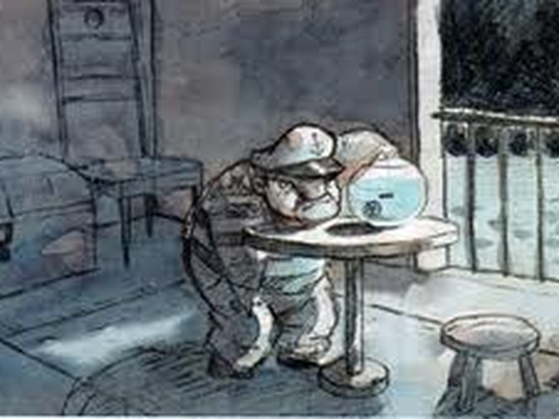 Foto 2 de Cães Marinheiros