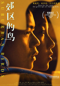 Pássaros Suburbanos (Jiao qu de niao)