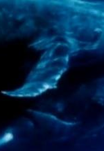 Lost Avenues (Lost Avenues)