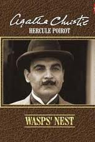 Poster 1 de Filme A Casa dos Marimbondos (1991)