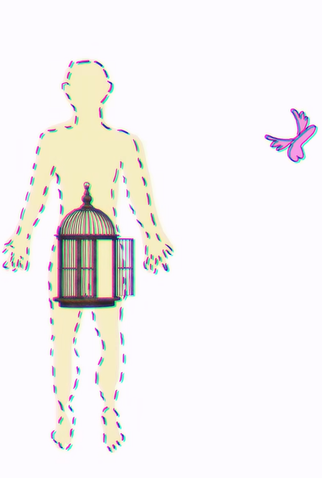 Poster 3 de Curta O Pênis (2021)