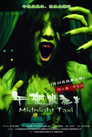 Poster 2 de Filme Midnight Taxi (2009)