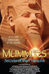 Múmias: Segredos dos Faraós - Poster / Capa / Cartaz - Oficial 2