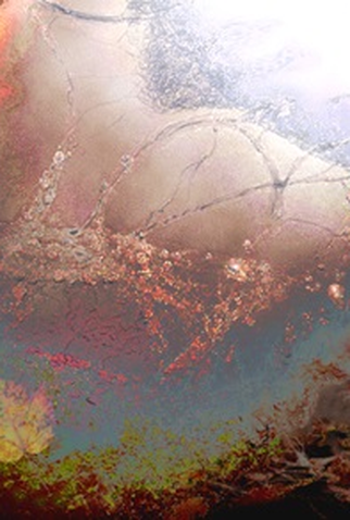 Poster 1 de TV A Dança da Vida (2016)