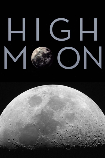 Poster de Filme O Mistério Lunar (2014)
