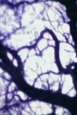 À l’instant (À l’instant)