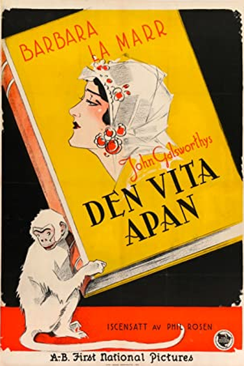 Poster de Filme O Macaco Branco (1925)