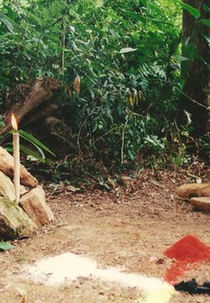 Gurufim na Mangueira (Gurufim na Mangueira)