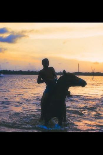  de Curta Brasil Impossível (2018)