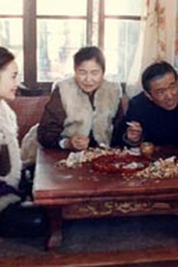 Poster de Filme The Spring Festival (1991)