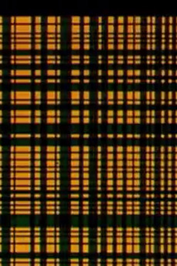 Poster de Curta Enigma (1972)