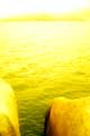 Poster de Curta Felicidade (2004)