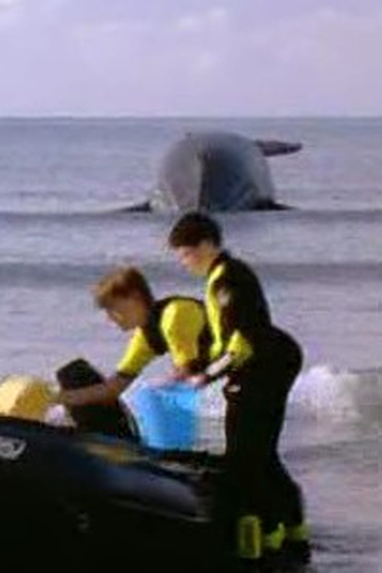 Poster de Episódio Charlie is Stranded (1996)