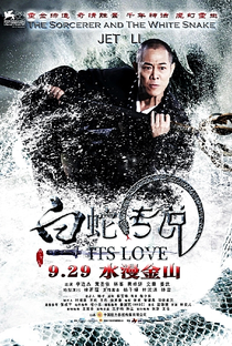 A Lenda do Mestre Chinês - Poster / Capa / Cartaz - Oficial 11