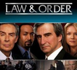 Lei e Ordem (13ª temporada)