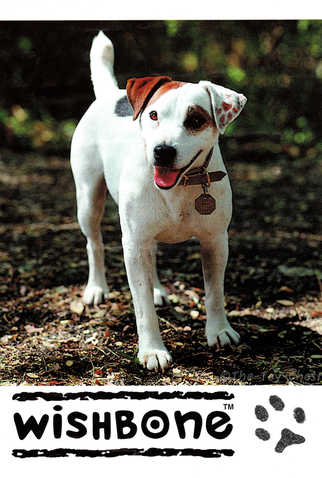 Poster 2 de Série As Aventuras de Wishbone (1995)