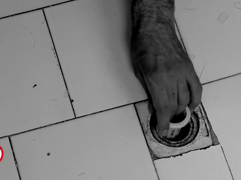 Foto 4 de The Fish and I