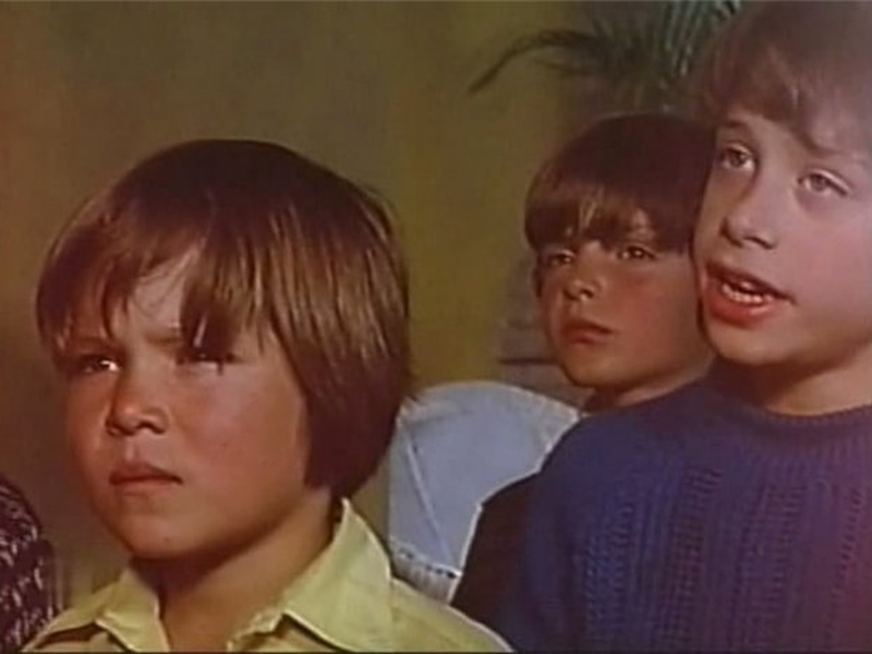 Foto 3 de Las mariposas disecadas 