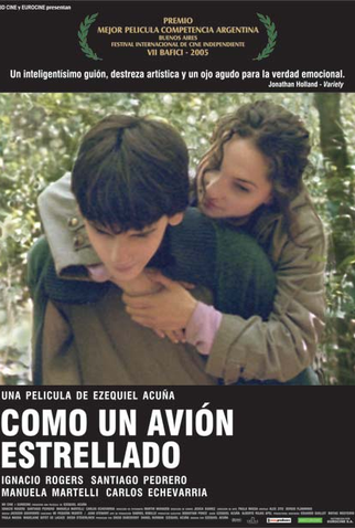 Poster 1 de Filme Como um Acidente de Avião (2005)