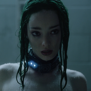 Foto de perfil de Pleiades