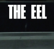 The Eel