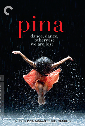 Poster 1 de Filme Pina (2011)