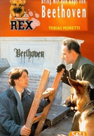 Rex - Um Policial Bom Pra Cachorro