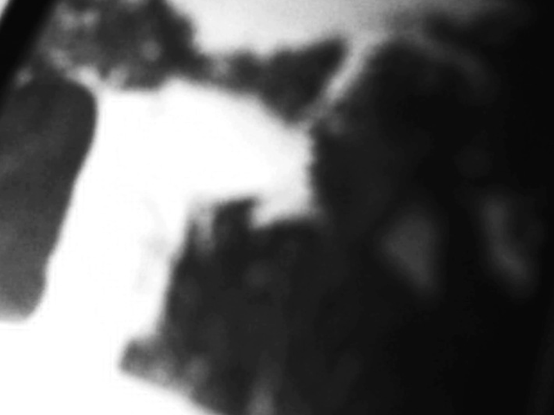 Foto 8 de Mãos Mortas