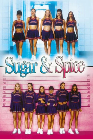 Poster 4 de Filme Atraídas Pelo Perigo (2001)