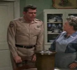 Aunt Bee's Cousin