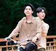 ชะตาพาฝัน