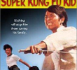 Super Kung Fu Kid