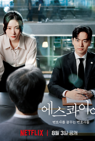 Poster 4 de Série Além do Direito (2025)