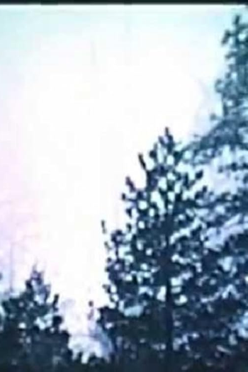  de Curta John Muir's High Sierra (1974)