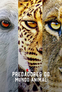 Predadores do Mundo Animal - Poster / Capa / Cartaz - Oficial 2
