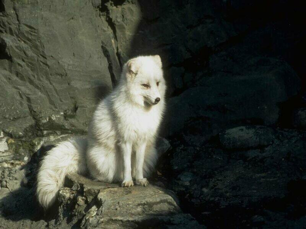 Frederico - Foto 1