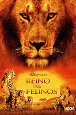 Reino dos Felinos (African Cats)