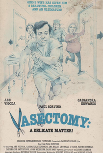 Vasectomia: Um Problema Delicado - Poster / Capa / Cartaz - Oficial 3