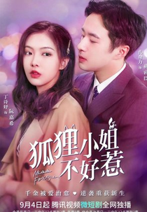 Miss Fox (狐狸小姐不好惹)