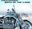 A Harley Davidson V-Rod