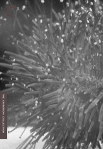 Les Oursins (Les Oursins)